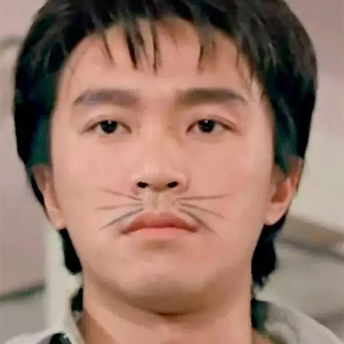 可爱的沙雕头像教你怎样和内向的女孩子谈恋爱