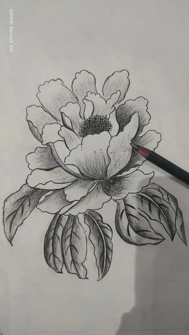 自学画画打卡 国花牡丹#日常瞎画 #素描 - 抖音