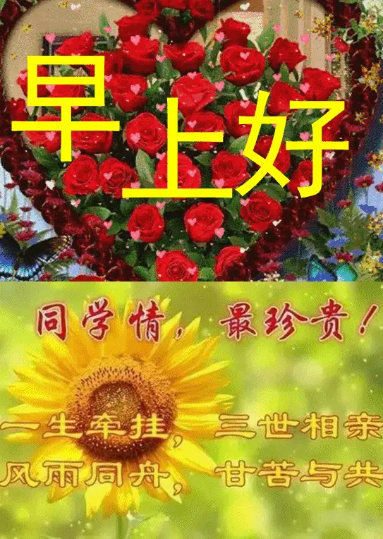 最新问候老同学的早上好带文字图片同学情最珍贵相遇是缘好好珍惜