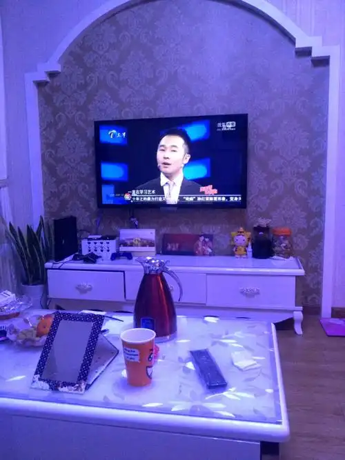 一个人在家看电视