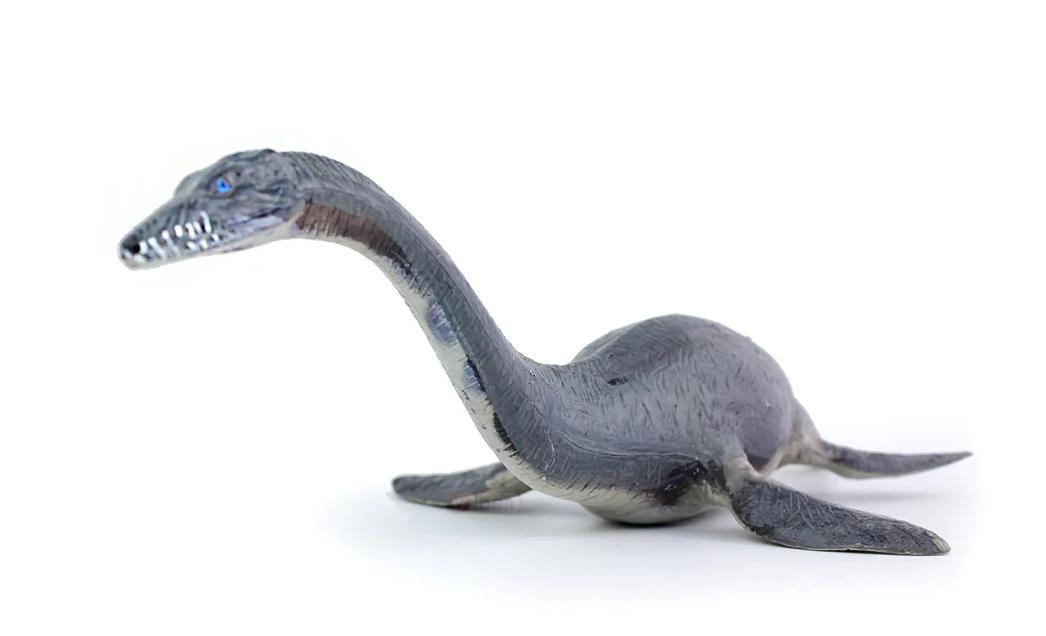 就在恐龙还称霸地球的时期,在海洋里的王者就是蛇颈龙,大概是三叠纪到