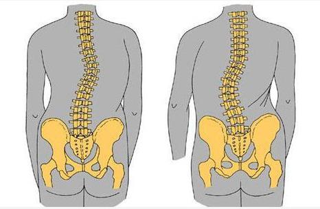 给你的脊背放个假这六步拉伸肩胛放松肩颈赶走一周疲劳
