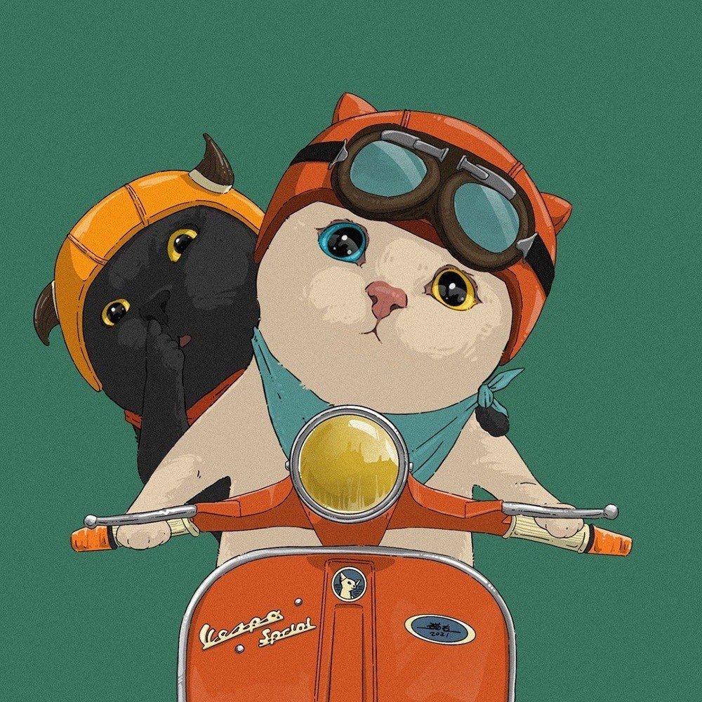 有没有小众又有趣的微信头像