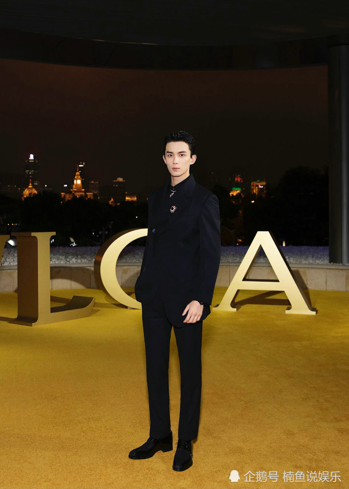 又一位霸道总裁来袭!吴磊身穿西装帅气十足,21岁气质似贵公子