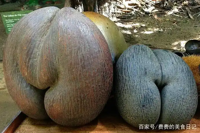 世界上最恶心的水果,看一眼只想吐,榴莲根本不算啥!