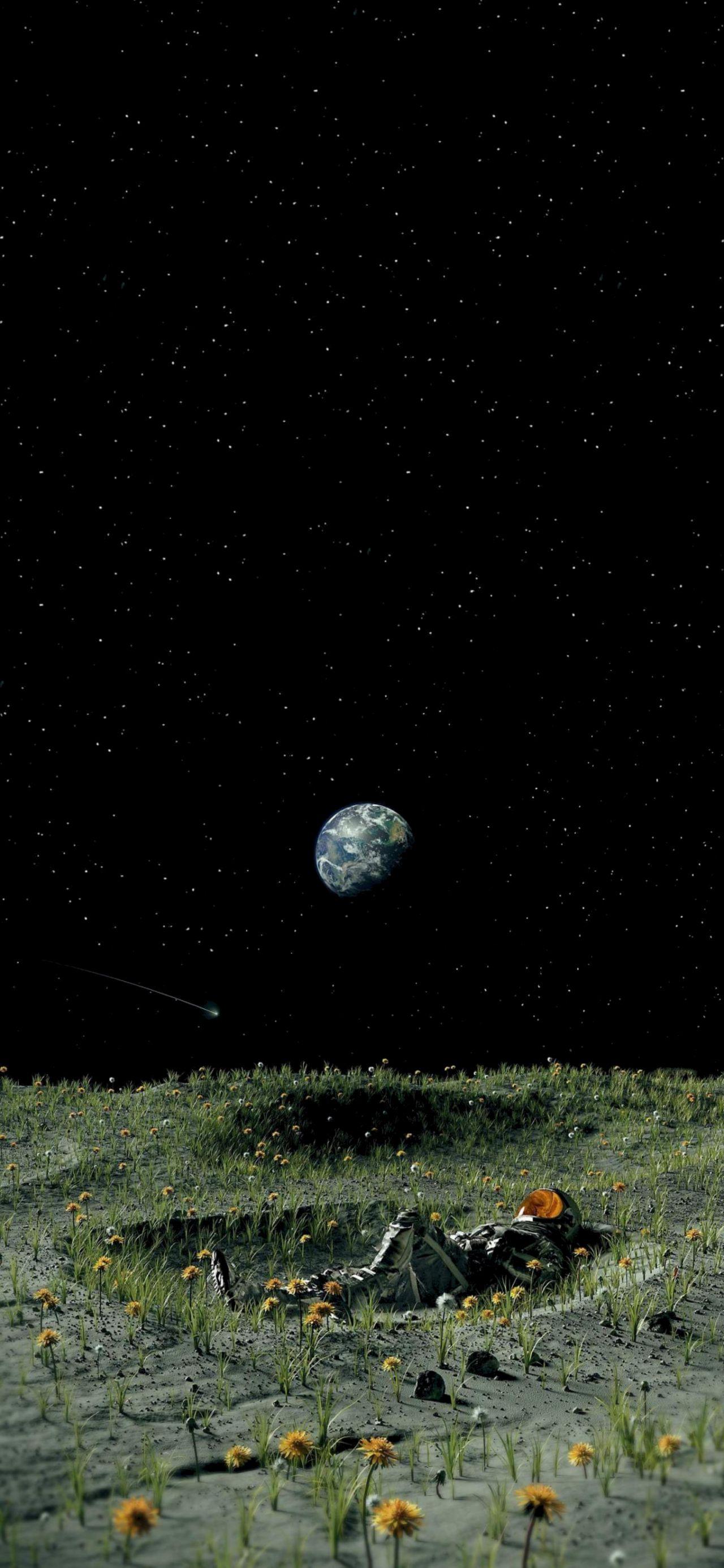 有没有那种4k画质的超高清壁纸