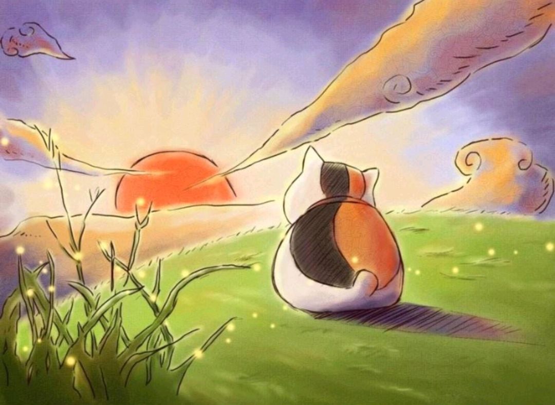 那些年带给你感动的治愈系动漫,你还记得吗?