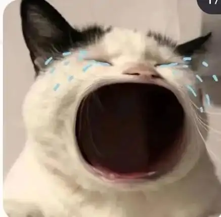 动物闺蜜头像#沙雕头像 - 抖音