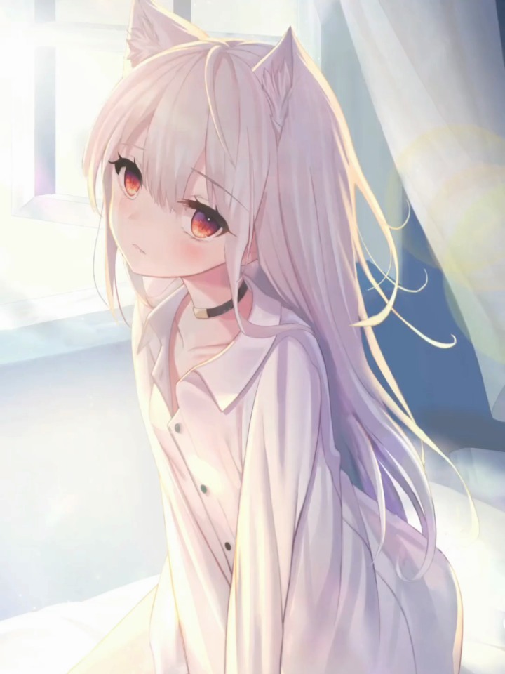 猫耳少女动态壁纸 手机壁纸 可爱壁纸 猫耳少女来啦