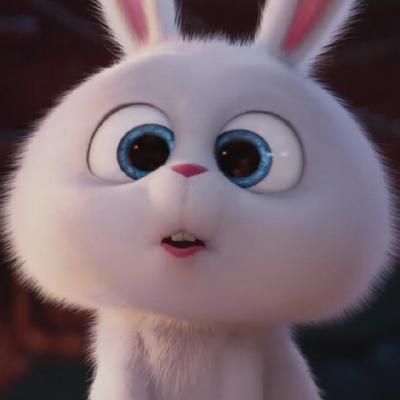 爱宠大机密兔子图片头像超萌可爱的爱宠机密兔子头像高清