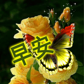 5月清晨群发早上好问候语动态图片早晨好祝福表情包