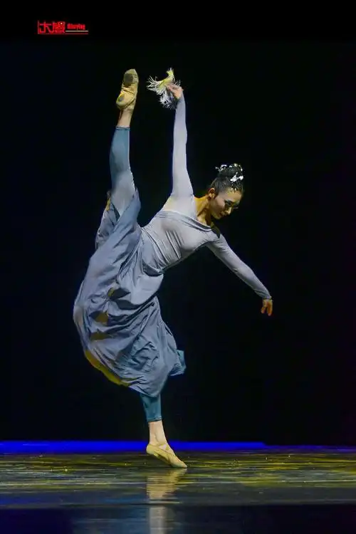 第十一届中国舞蹈"荷花奖"古典舞随选剧照展示《上篇》摄影俞根泉