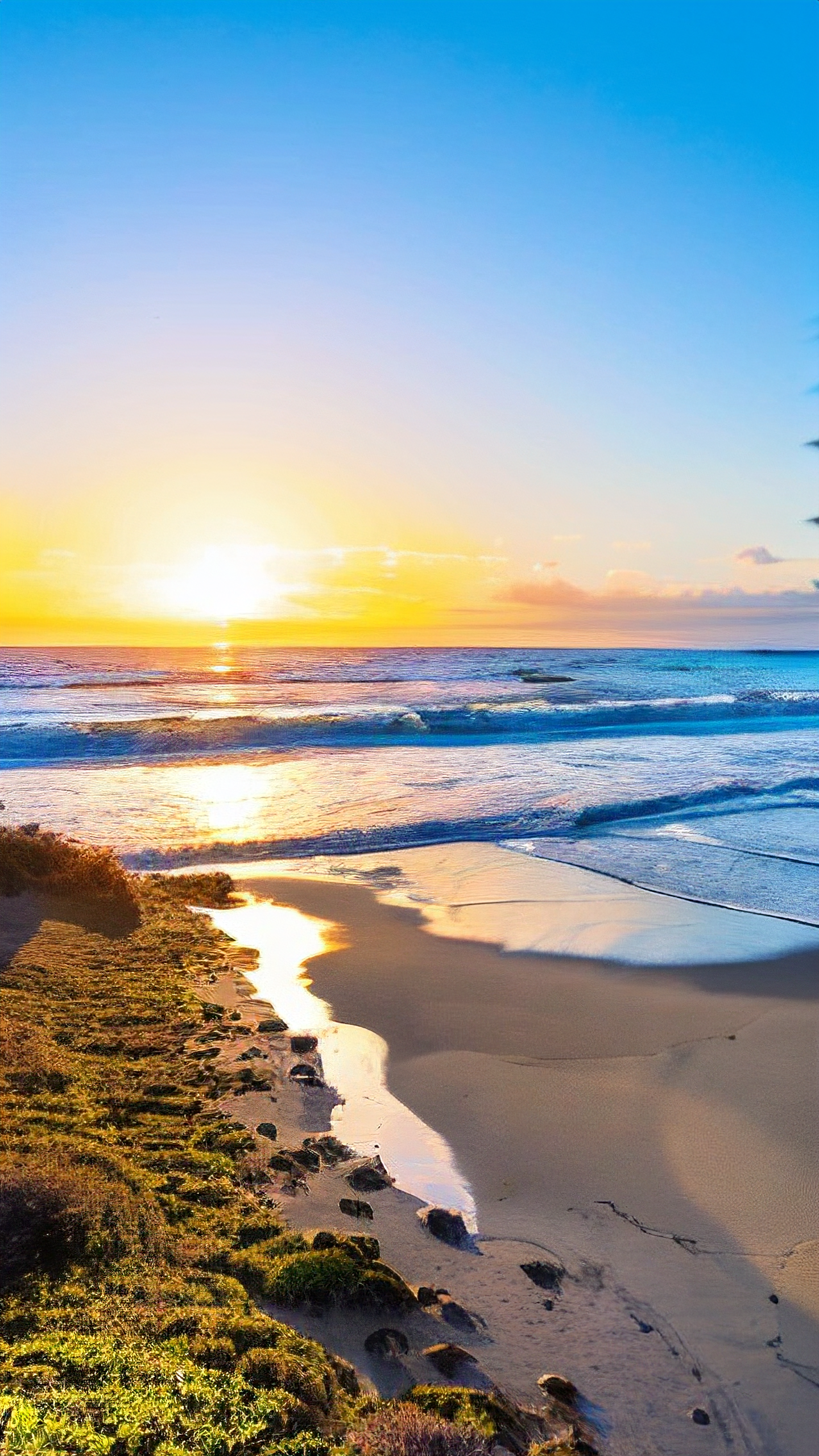 欧美夏威夷海滩壁纸🏖️🌴 想感受夏威夷海滩的浪漫与自由吗?