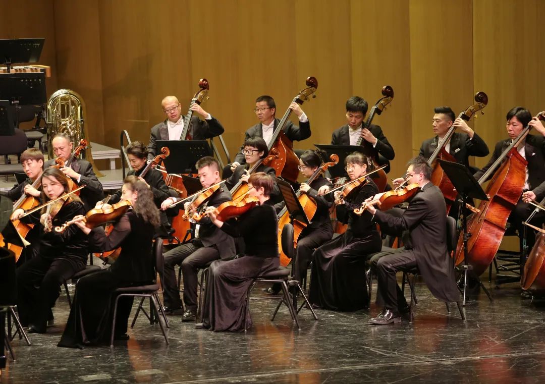 爱乐团,爱上一座城_澎湃号·政务_澎湃新闻-the paper