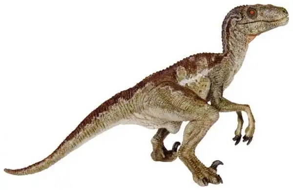 真正的迅猛龙图片复原