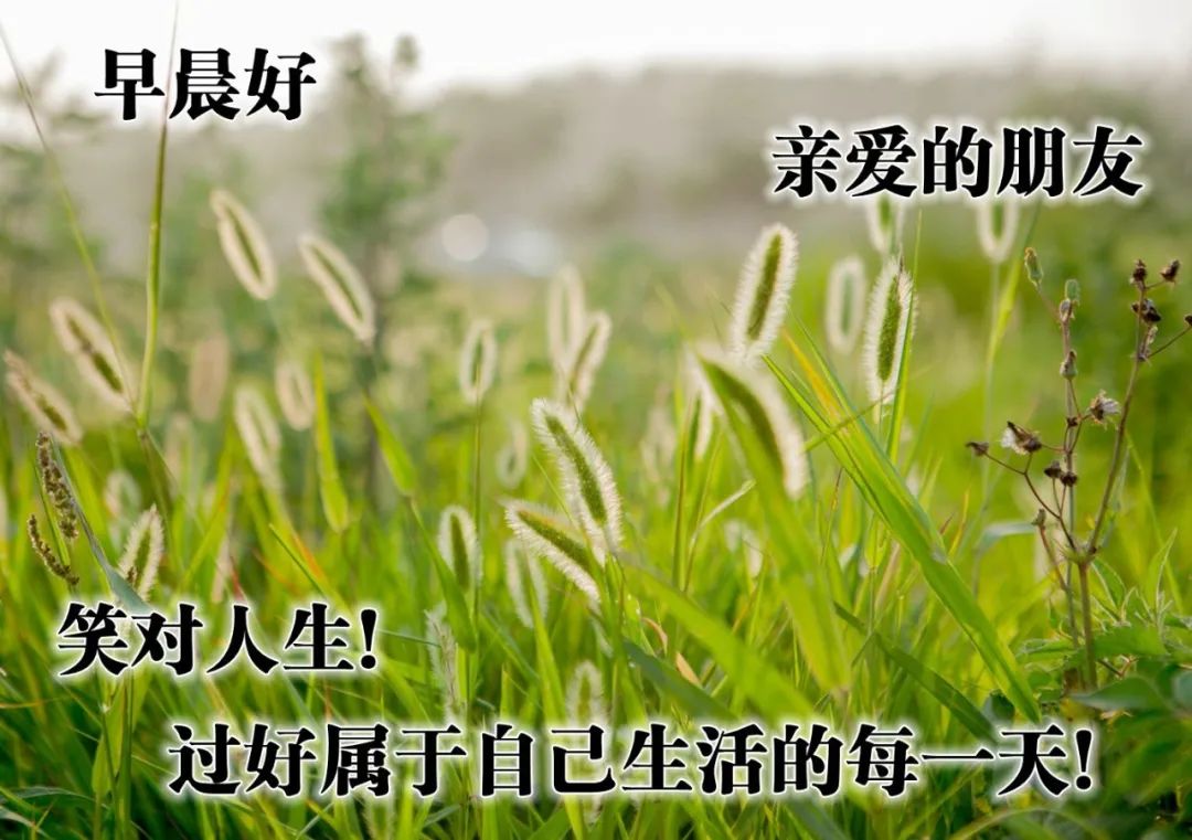 早上好我亲爱的朋友们最常用的早安祝福图片,愿你幸福每一秒