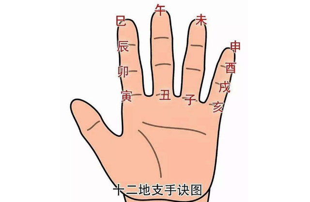 干支速记法:手掌速记, 地支在手掌的位置