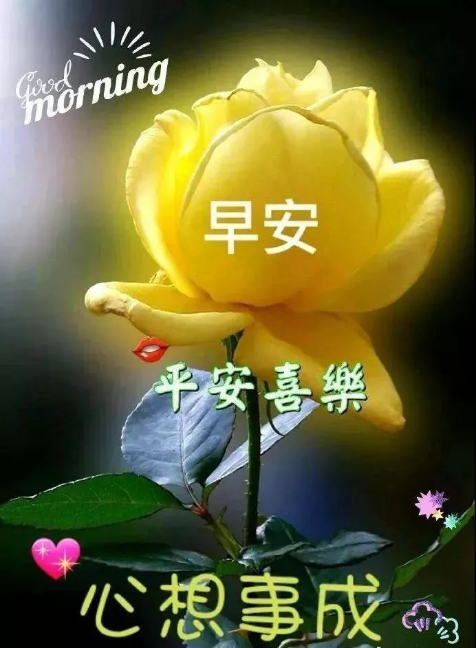 最新漂亮早上好动态美图鲜花带字早晨好幸福暖心的问候表情图片