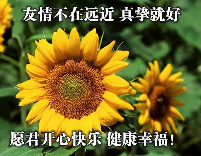 早上好朋友,最新漂亮早上好问候祝福语,创意好看的早安问候语