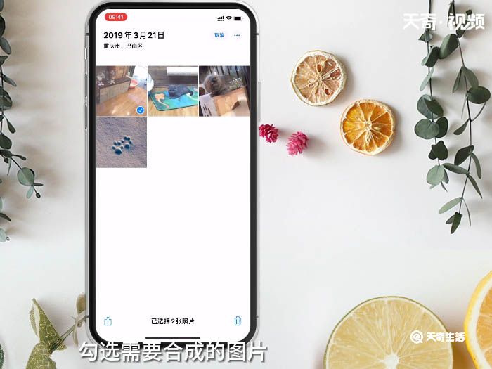 苹果手机怎么把照片合成一张图片 苹果手机如何把照片合成一张图片
