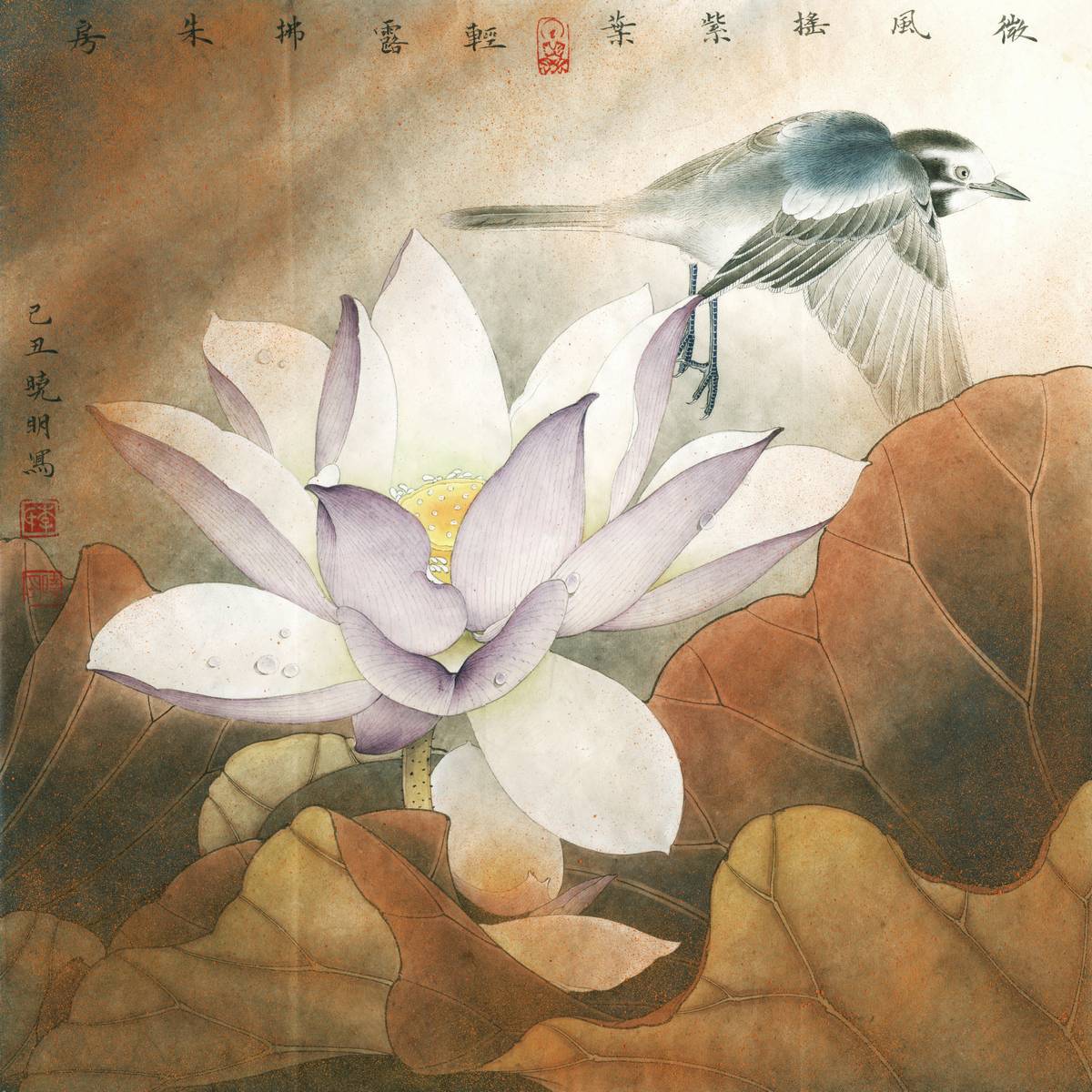 [国画高清大图]0043_李晓明工笔画荷花高清图jpg-紫荷鹡鸰_xpx_jpg