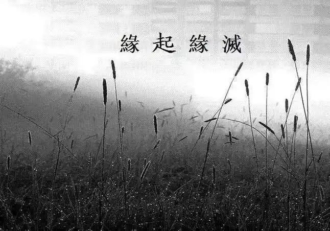 缘起缘灭的经典说说句子