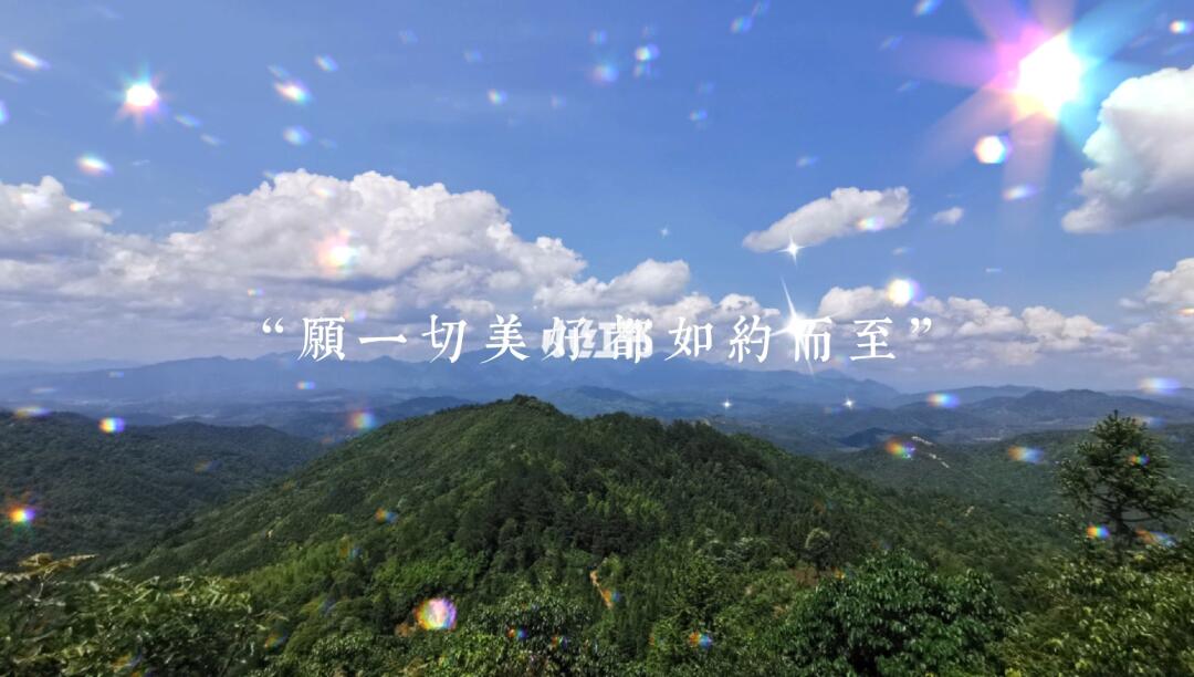 愿一切美好都如约而至