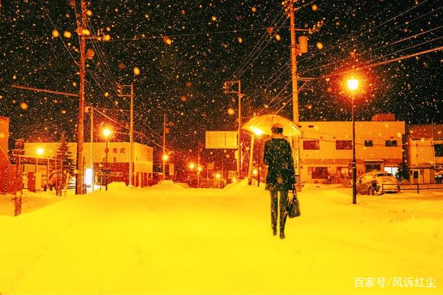 现如今,来到一个没有雪花的城市,雪夜,早已成为儿时一副留恋的美景.