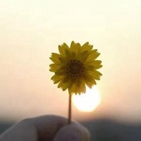 释然自己图片 放下执着心释然自我带字图片_微信头像图片大全