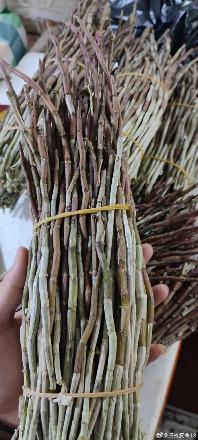 论道岐黄##国医的精诚力量##健康养生##中医养生