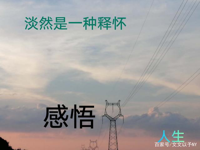 淡然是一种释怀不了的奢华