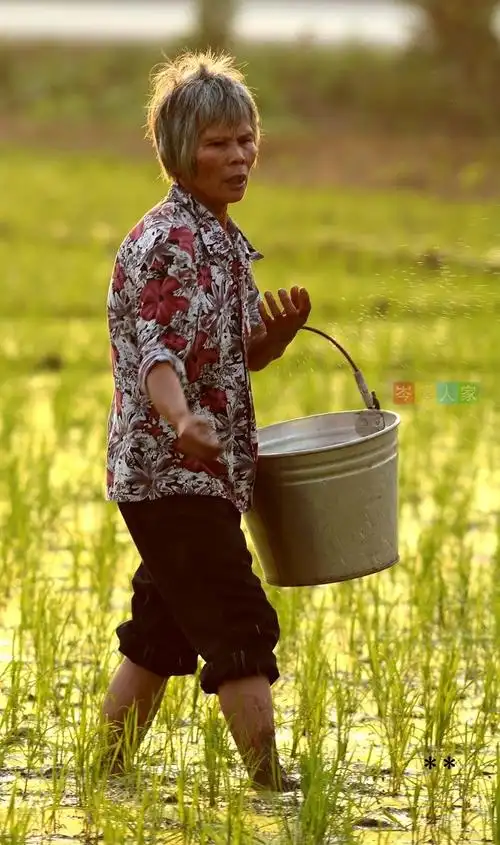劳动节!劳动人民节日快乐! - 美篇