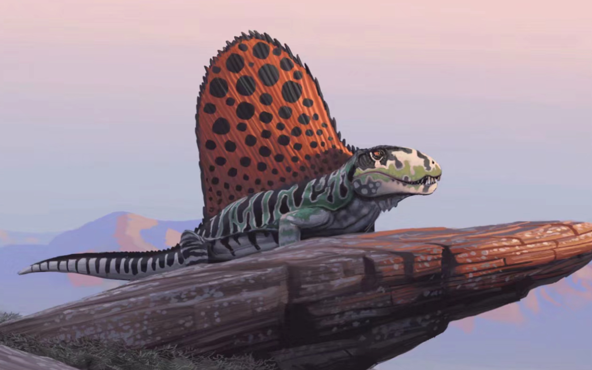 异齿龙:野兽先辈-动物视频-搜狐视频