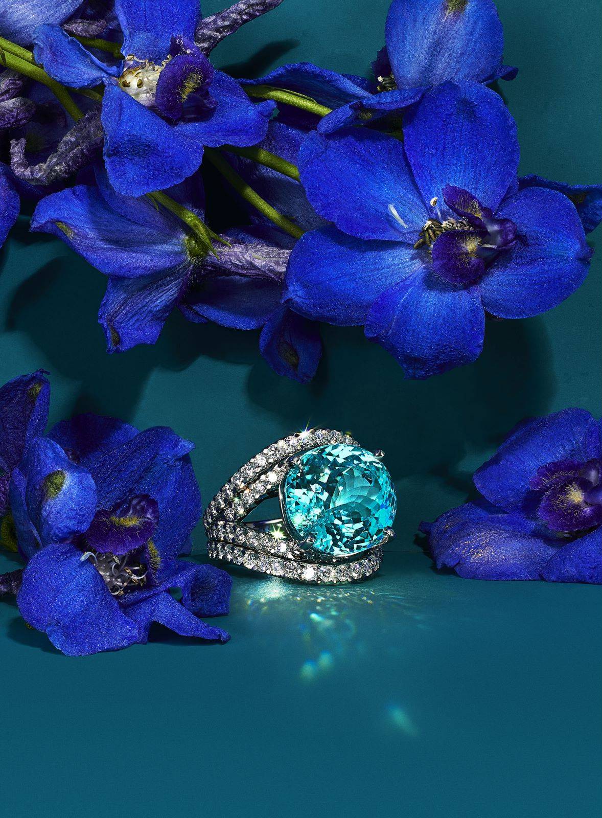 蒂芙尼全新发布2022bluebook高级珠宝系列botanica