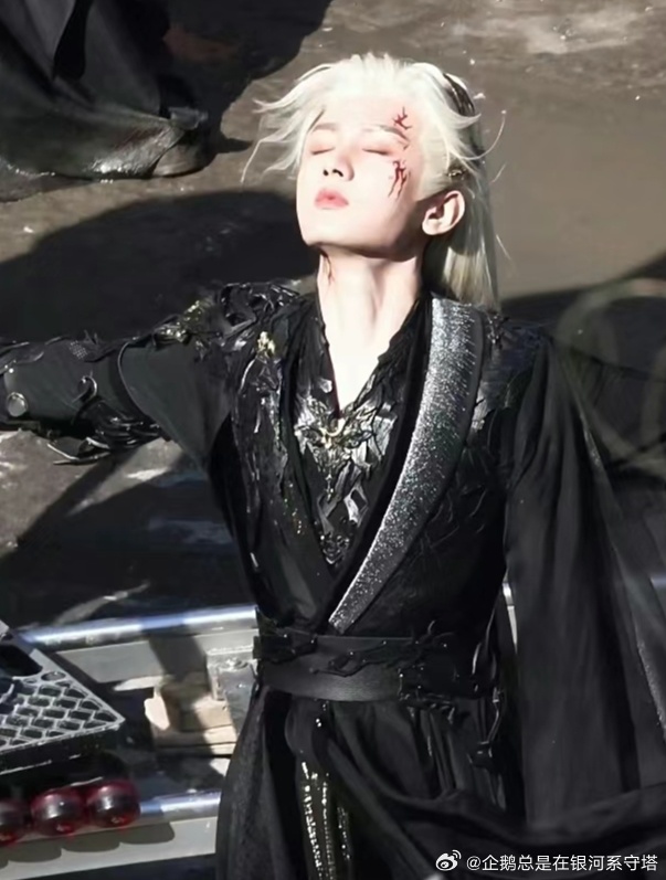 企鹅的成毅蹲蹲群  琪琪太帅啦!富贵宝宝白发超帅哒!