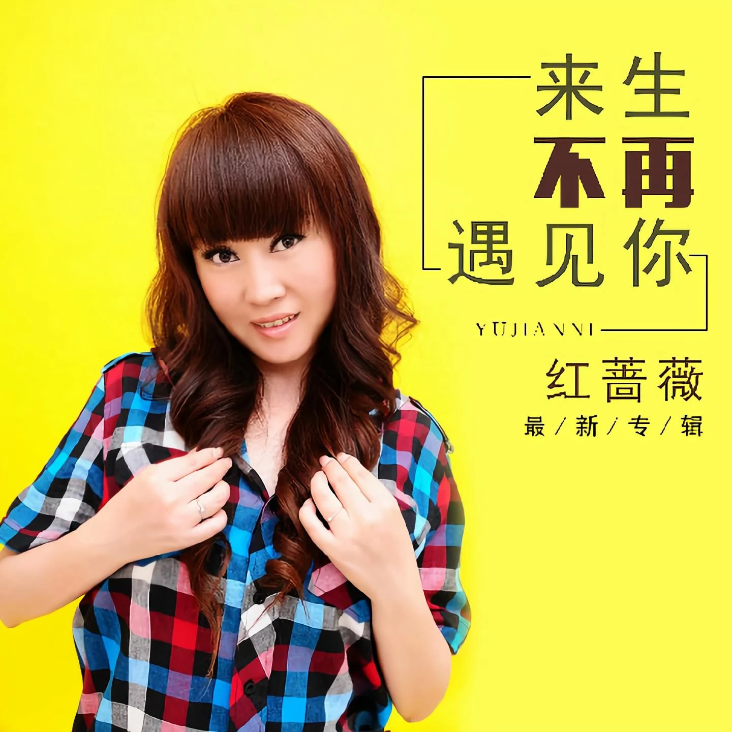 来生不再遇见你 (伴奏)_红蔷薇_高音质在线试听_来生不再遇见你 (伴奏