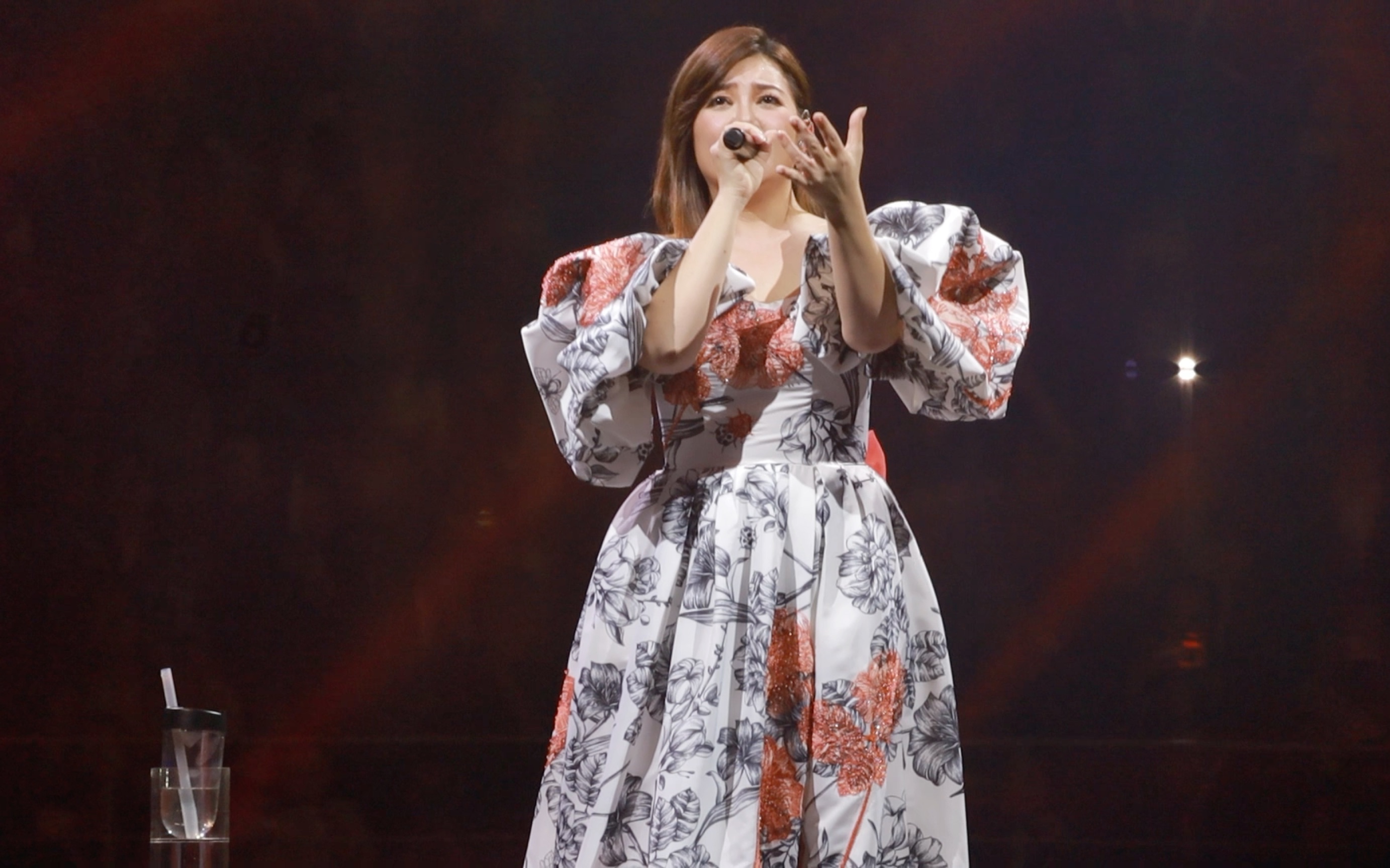 梁静茹 演唱会大合唱 给未来的自己