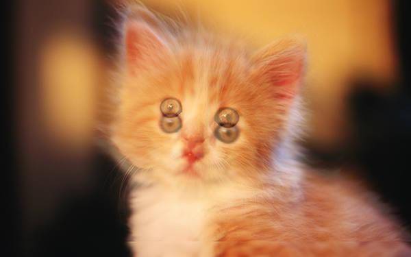 散光眼看世界!这些场景熟悉吗?