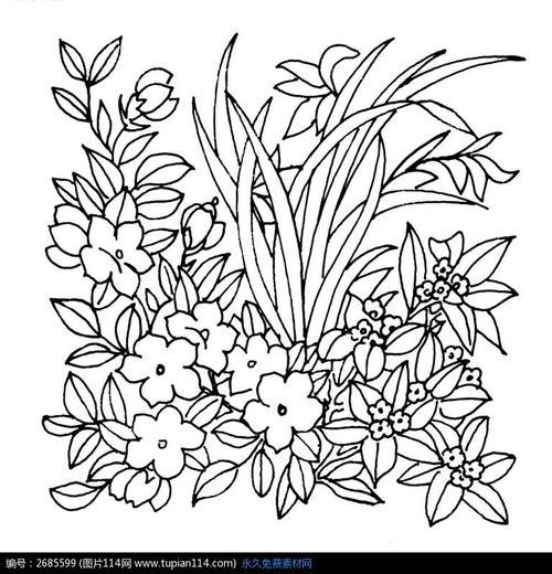 花丛设计简笔画