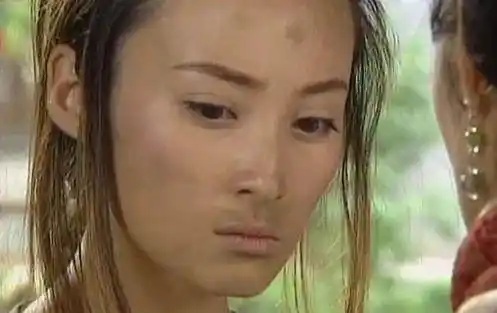 3,《卧虎藏龙》【玉娇龙】)蒋勤勤 2001年的电视剧了,你还有印象吗?