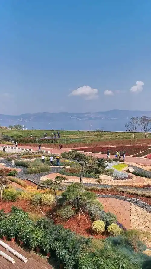 头条问答 - 云南澄江网红打卡地点,抚仙湖抚海湾湿地公园,是不是很美