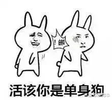 单身狗抵不过单身的宿命dono鸭表情包素材gif图表情