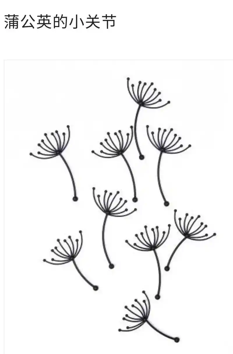 蒲公英简笔画.#简笔画 #图文伙伴计划  蒲公英简笔画 蒲公 - 抖音