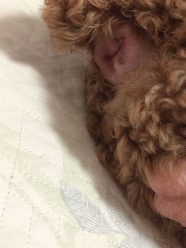 搽了点药,一个小时后回家身上有点白色颗粒