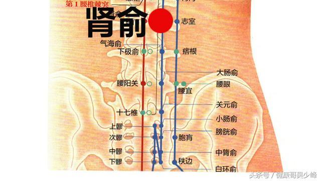 年龄还很年轻已经有白头发怎么办?