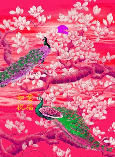 380_520竖版 竖屏gif 动态图 动图