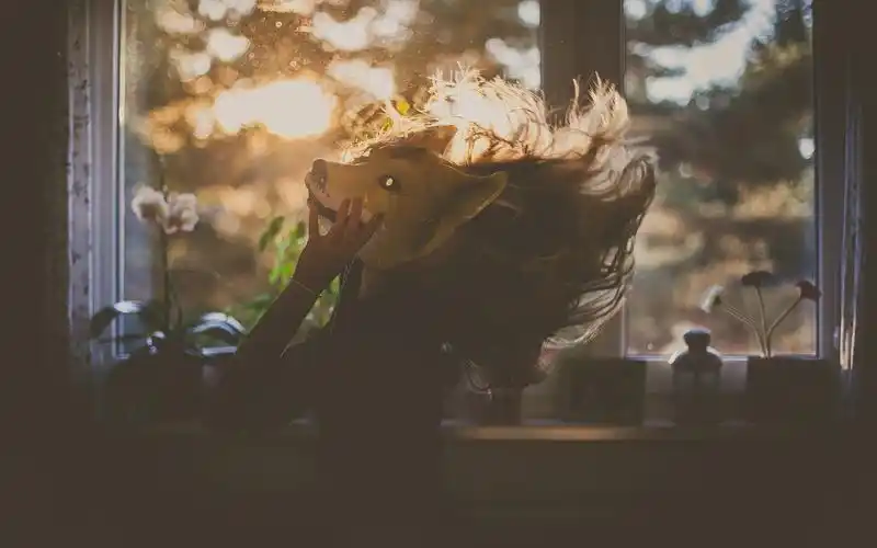 伤感心情非主流桌面壁纸下载