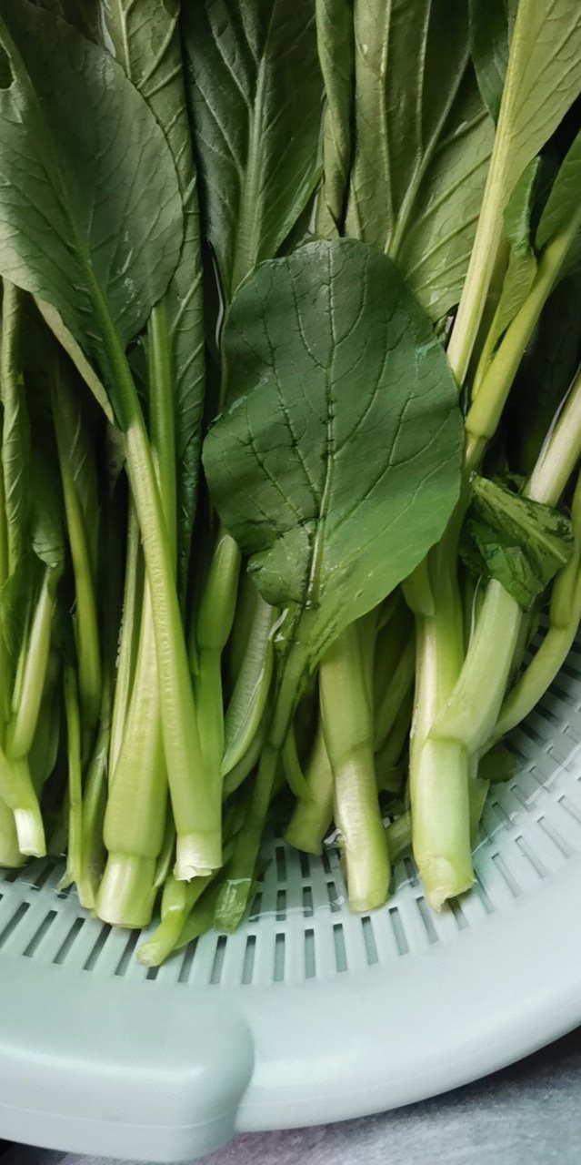 请问这是什么青菜?
