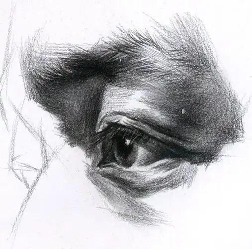 素描传神部位眼睛的画法,江苏画室给你笔记!