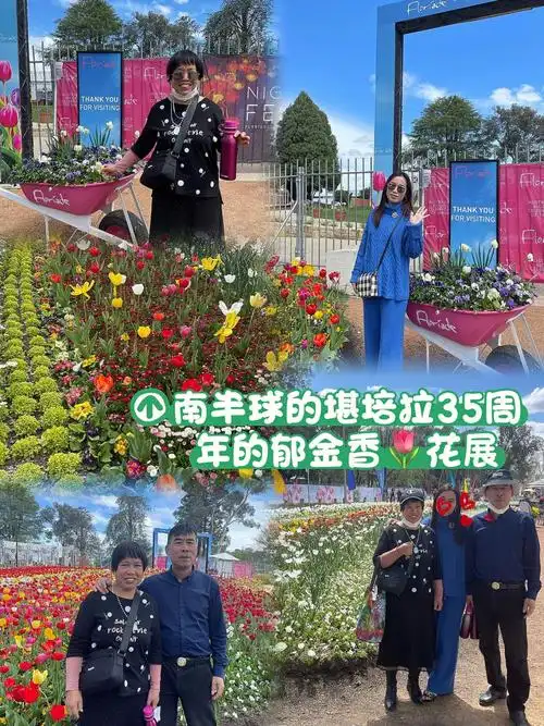 堪培拉35周年郁金香花展南半球的春天
